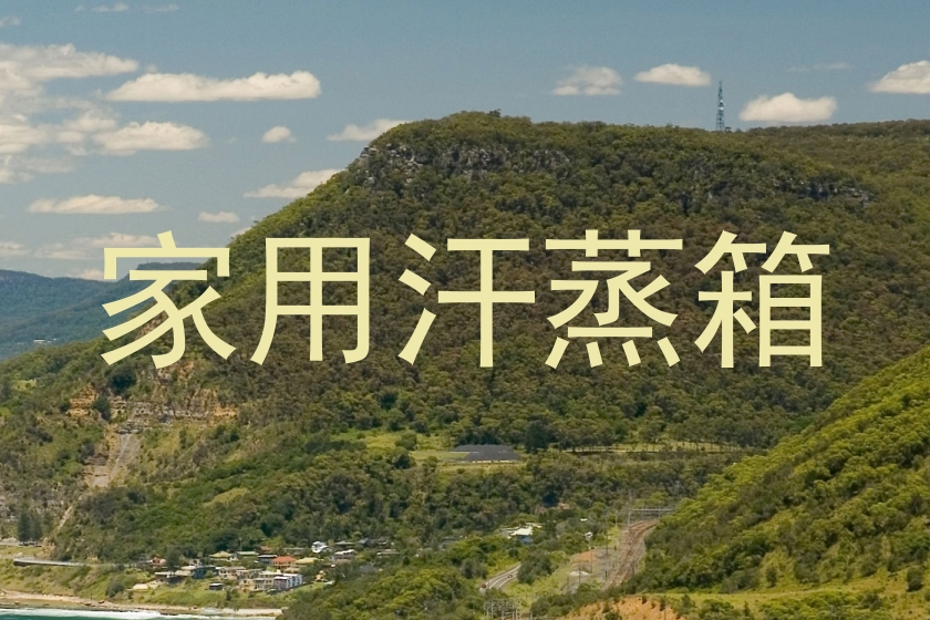 家用汗蒸箱