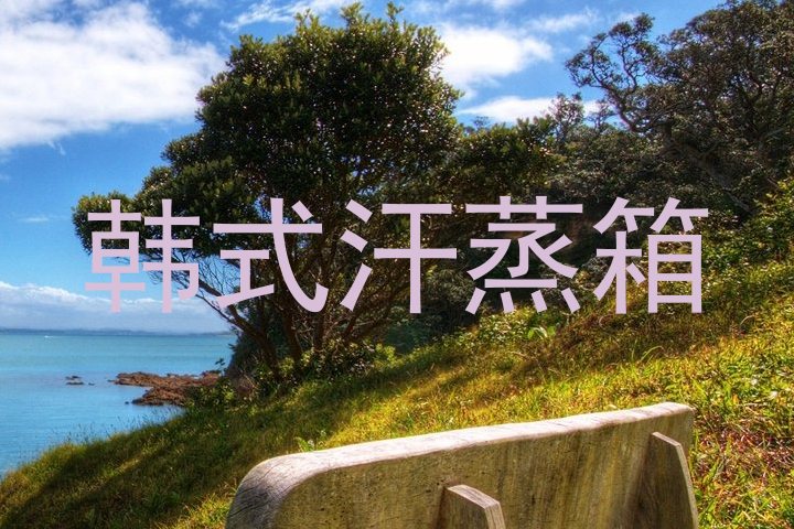 韩式汗蒸箱