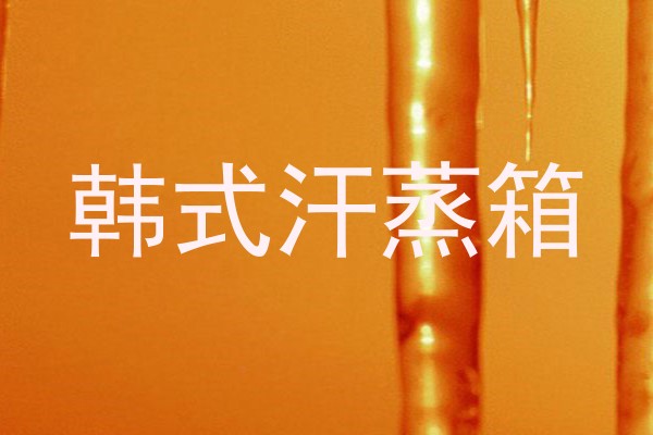 韩式汗蒸箱