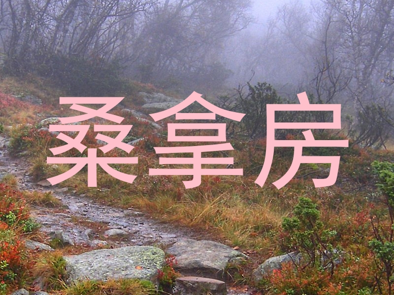 桑拿房