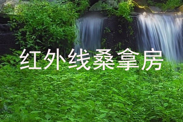 红外线桑拿房