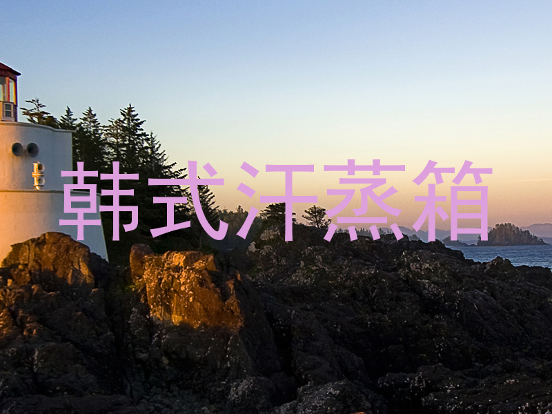 韩式汗蒸箱