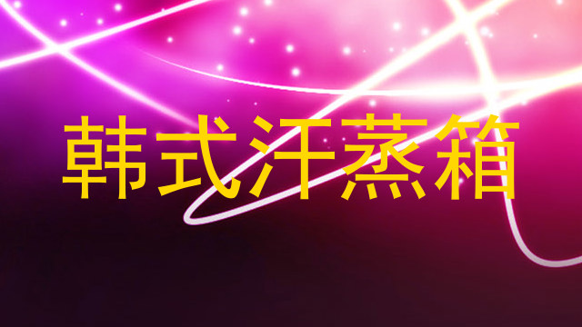 韩式汗蒸箱
