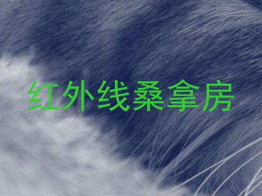 红外线桑拿房