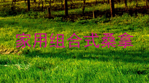 家用组合式桑拿