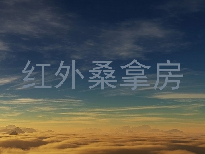 红外桑拿房