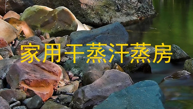 家用干蒸汗蒸房