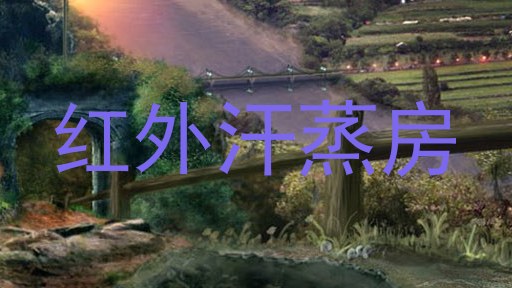 红外汗蒸房