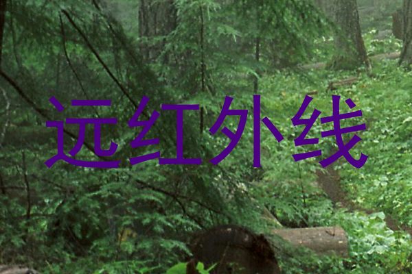 远红外线