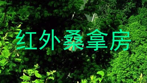红外桑拿房