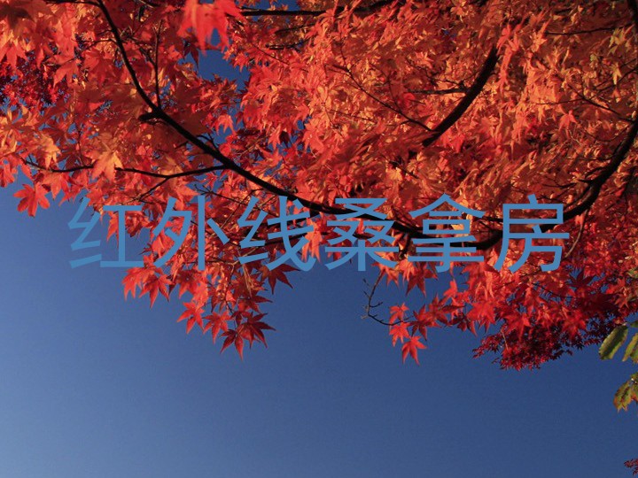 红外线桑拿房