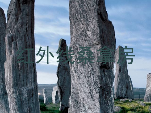 红外线桑拿房