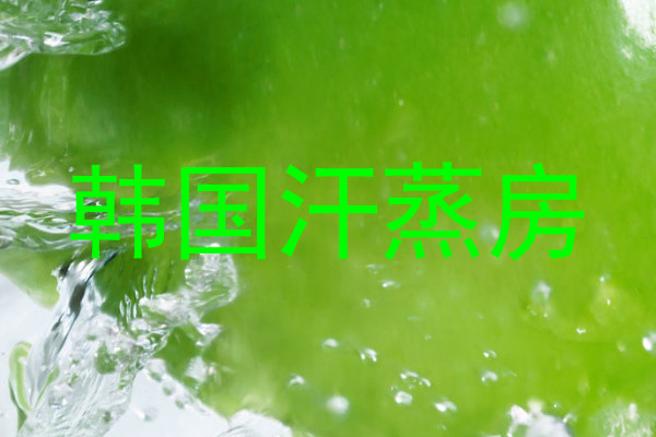 韩国汗蒸房
