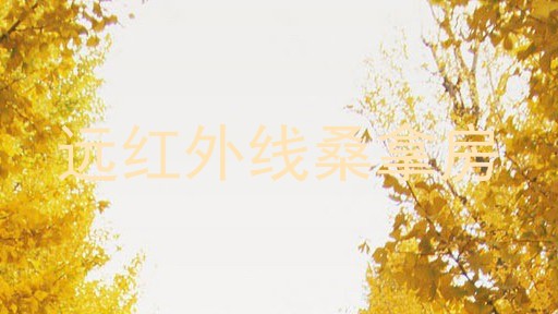 远红外线桑拿房