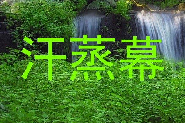 汗蒸幕