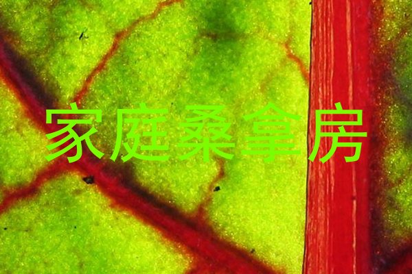 家庭桑拿房