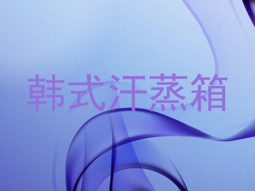 韩式汗蒸箱