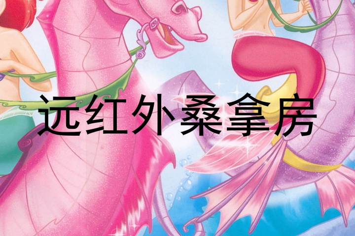 远红外桑拿房
