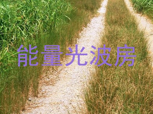 能量光波房