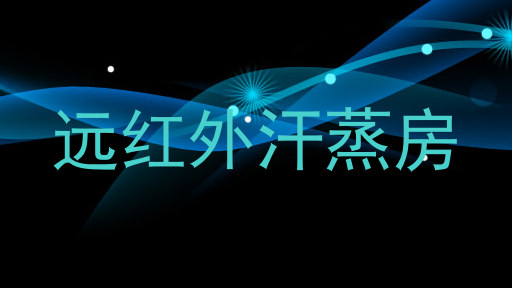 远红外汗蒸房
