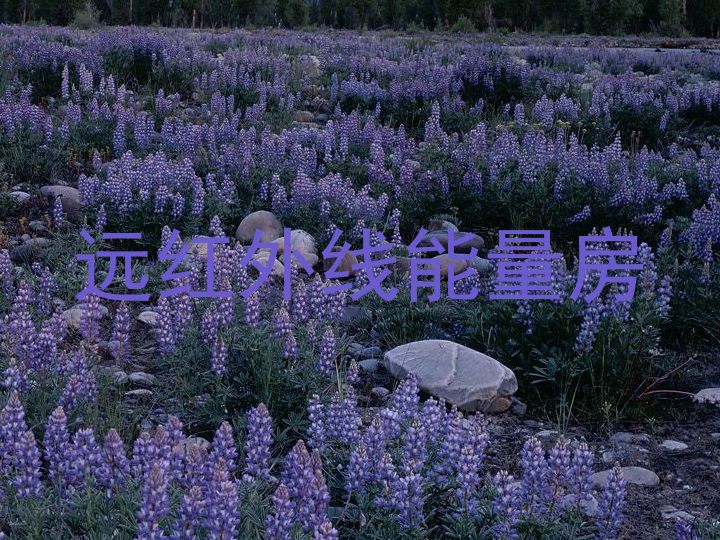 远红外线能量房