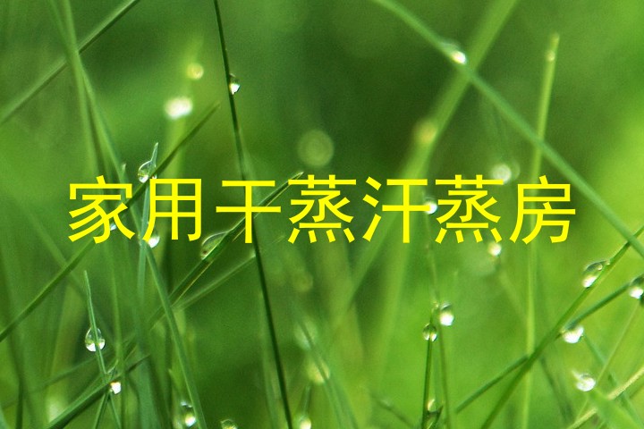 家用干蒸汗蒸房