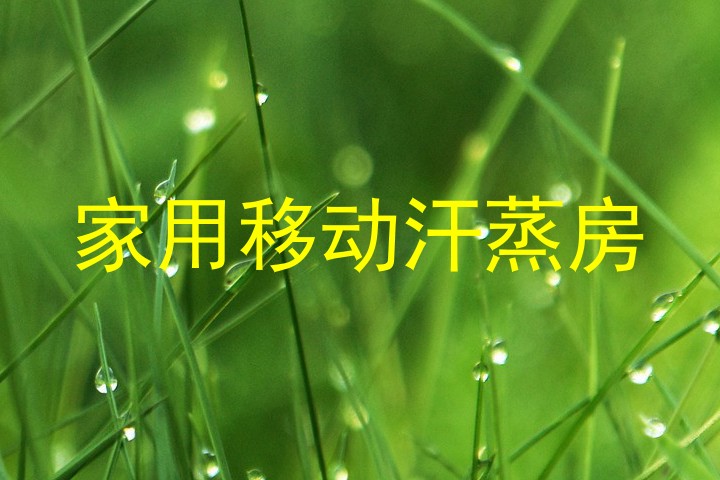 家用移动汗蒸房