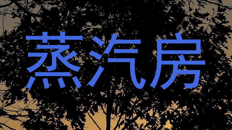 蒸汽房