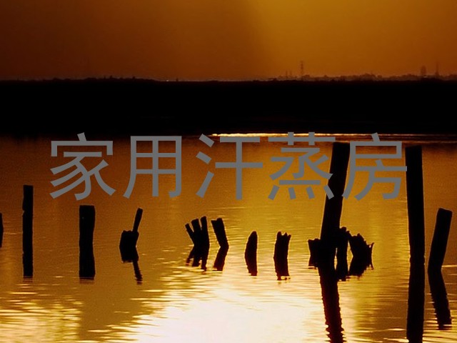 家用汗蒸房