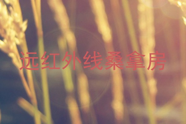 远红外线桑拿房