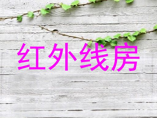红外线房