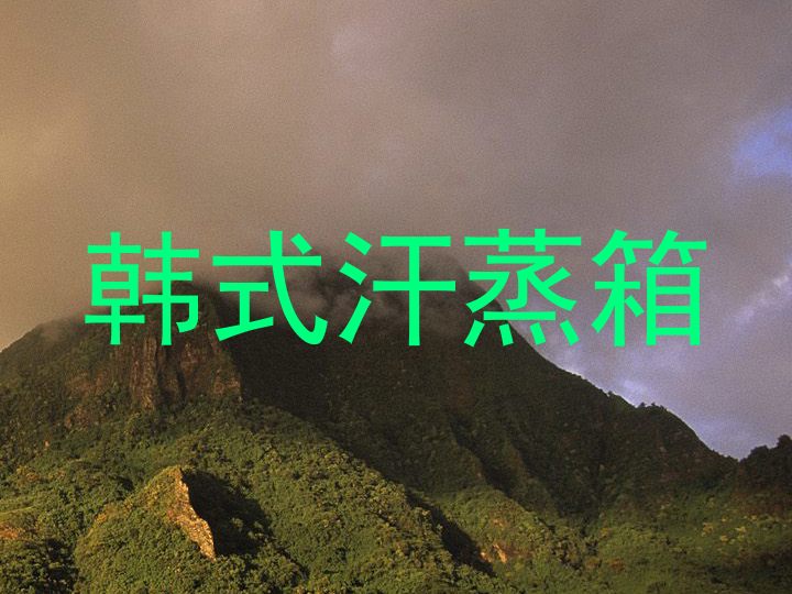 韩式汗蒸箱