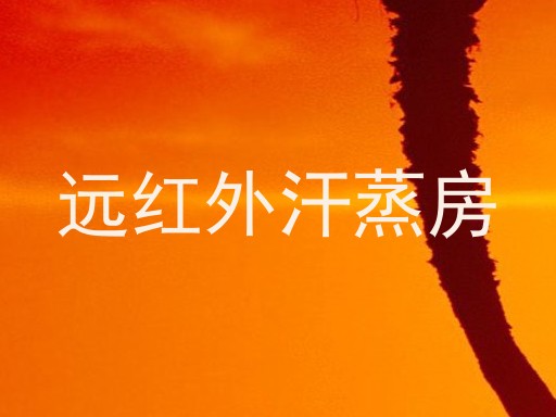 远红外汗蒸房