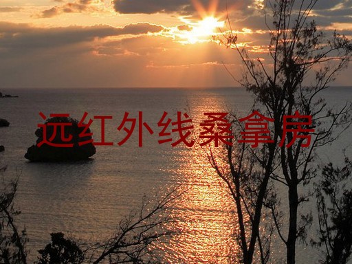 远红外线桑拿房