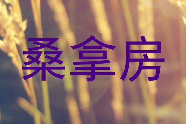 桑拿房