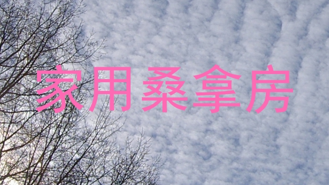 家用桑拿房