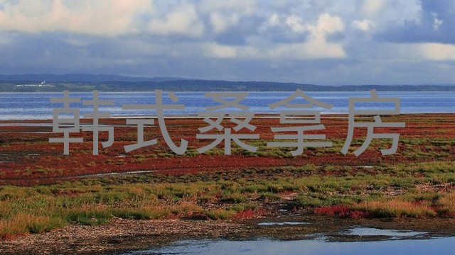 韩式桑拿房