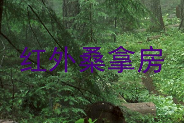 红外桑拿房