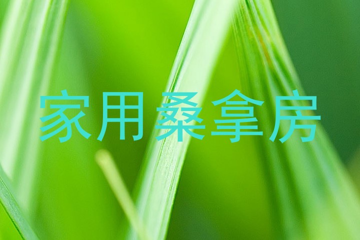 家用桑拿房
