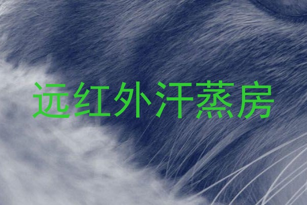 远红外汗蒸房