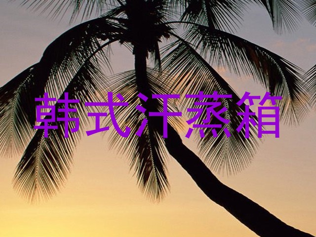 韩式汗蒸箱