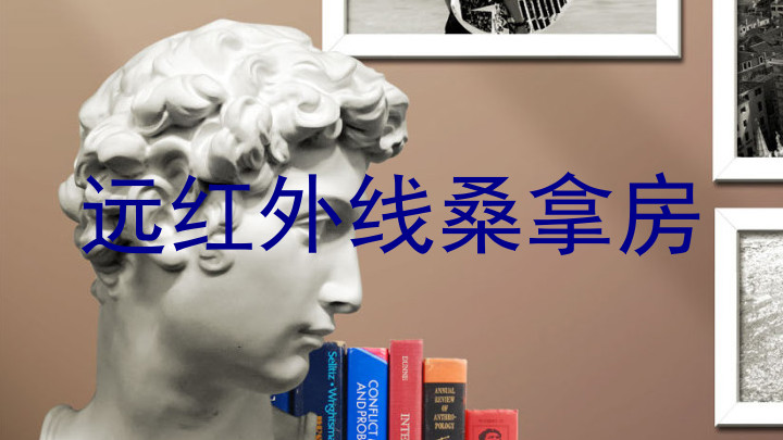 远红外线桑拿房