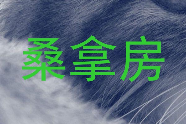 桑拿房