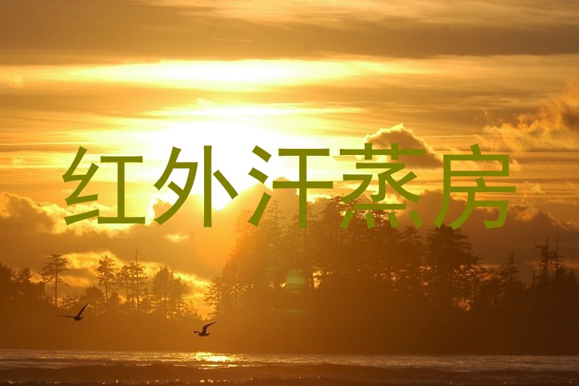 红外汗蒸房