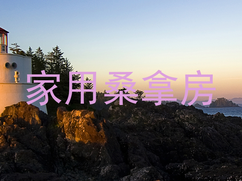 家用桑拿房