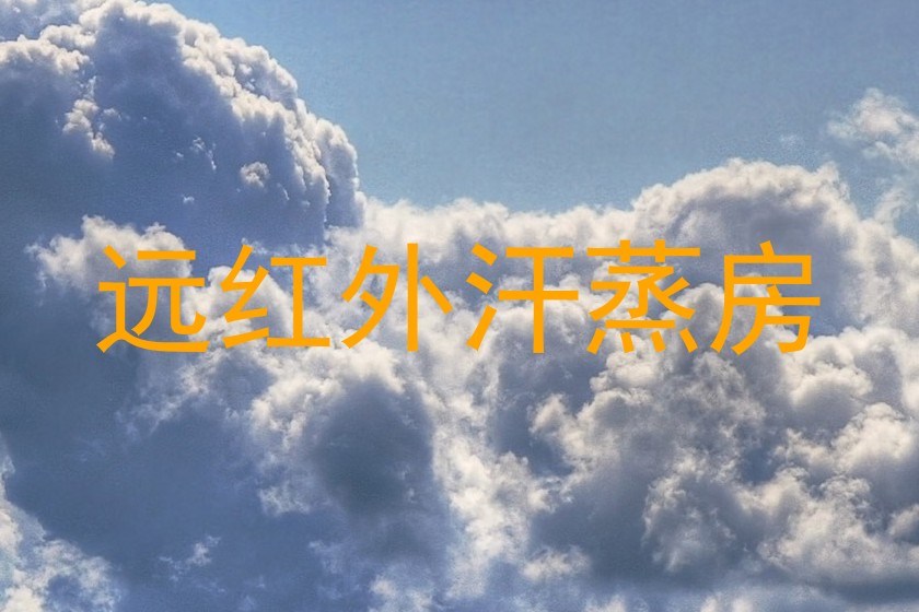 远红外汗蒸房