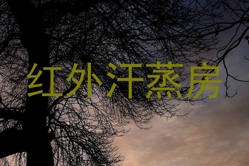 红外汗蒸房