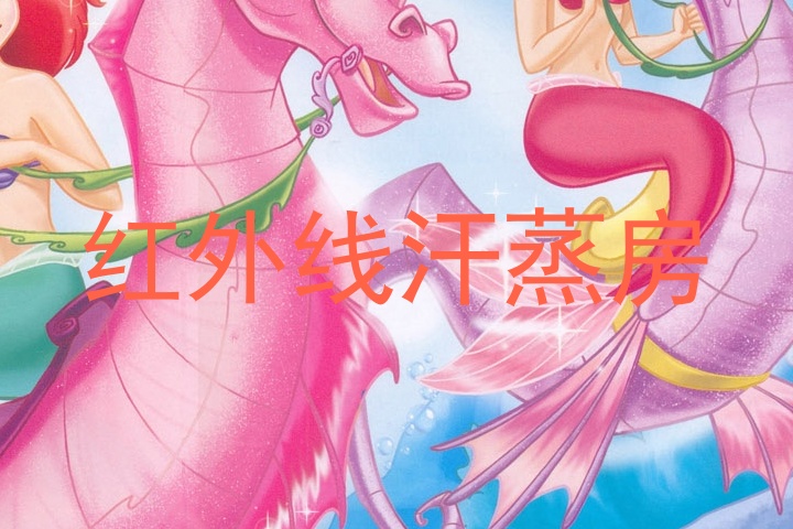 红外线汗蒸房