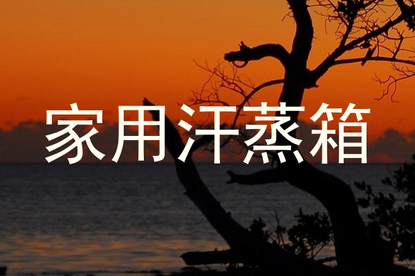 家用汗蒸箱