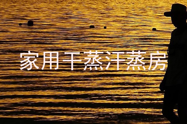 家用干蒸汗蒸房